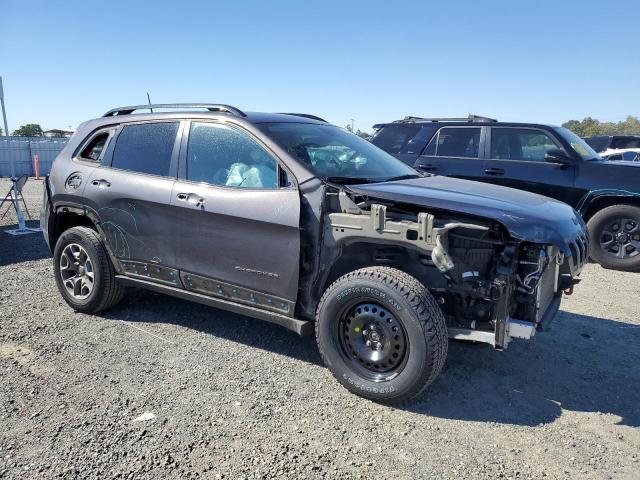 1C4PJMBX5ND500586 - 2022 JEEP CHEROKEE TRAILHAWK CHARCOAL photo 4