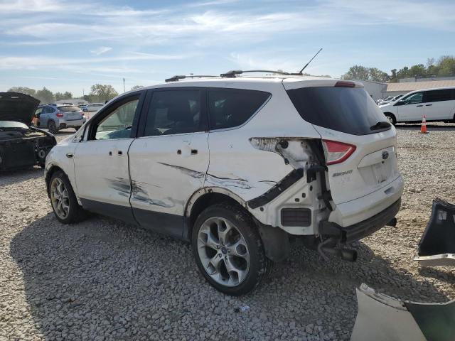 1FMCU9J91DUC51493 - 2013 FORD ESCAPE TITANIUM თეთრი ფოტო 2