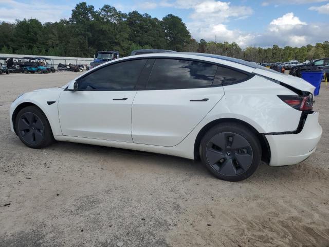 5YJ3E1EA8PF562813 - 2023 TESLA MODEL 3 WHITE photo 2