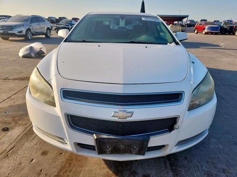 1G1ZH57B49F204369 - 2009 CHEVROLET MALIBU 1LT თეთრი ფოტო 5