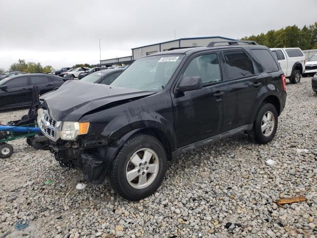 2010 FORD ESCAPE XLT, 