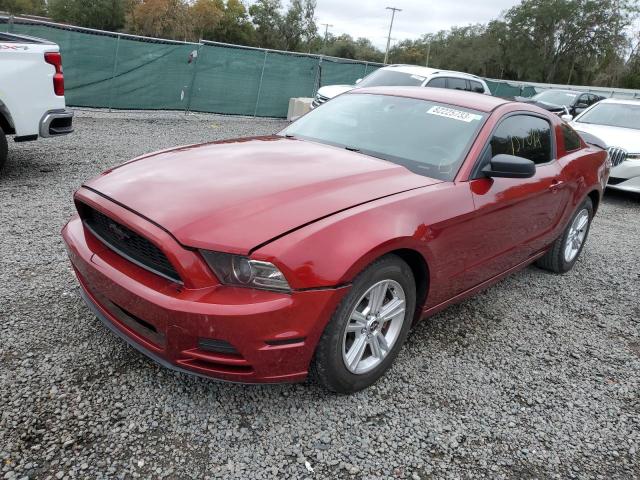 1ZVBP8AM5E5298413 - 2014 FORD MUSTANG RED photo 1