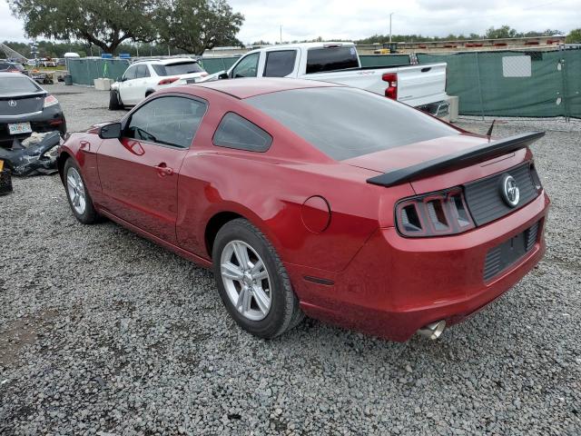 1ZVBP8AM5E5298413 - 2014 FORD MUSTANG RED photo 2