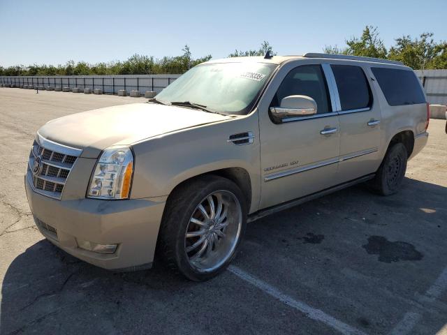 2011 CADILLAC ESCALADE ESV PLATINUM, 