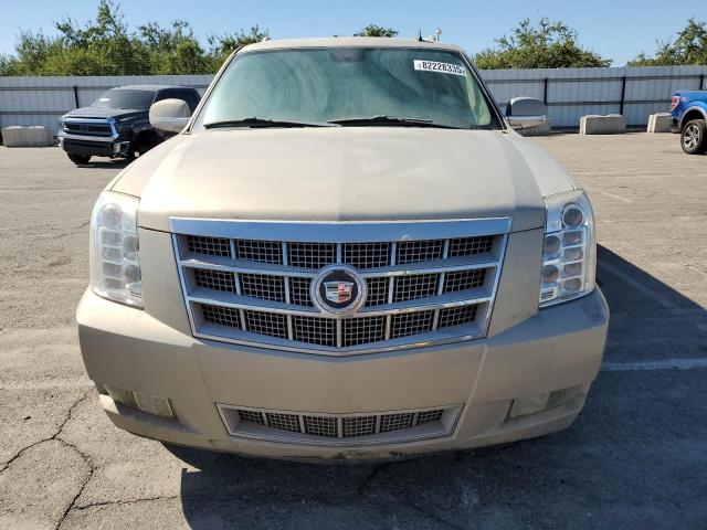 1GYS4KEF0BR140709 - 2011 CADILLAC ESCALADE ESV PLATINUM Altın fotoğraf 5