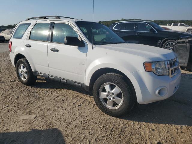 1FMCU9C79BKC64237 - 2011 FORD ESCAPE XLS Ağ foto 4