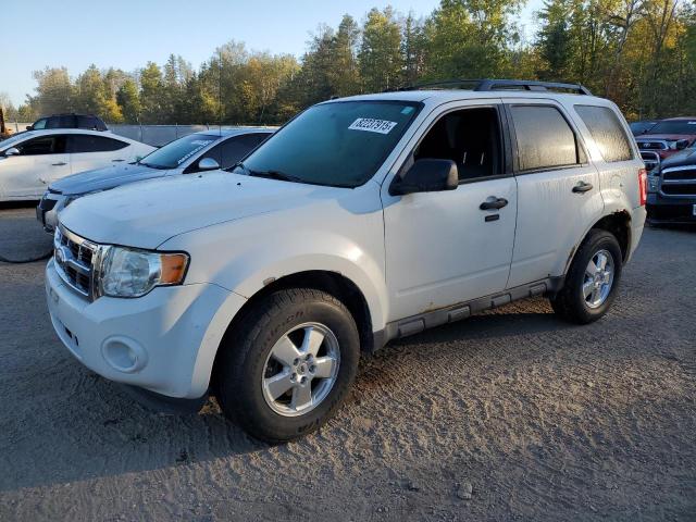 2012 FORD ESCAPE XLT, 