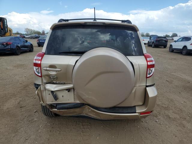 JTMZF4DV3AD018943 - 2010 TOYOTA RAV4 BEIGE photo 6