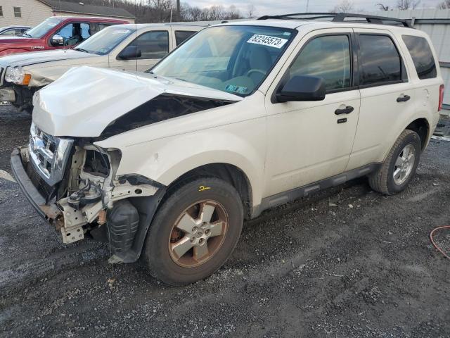 2011 FORD ESCAPE XLT, 