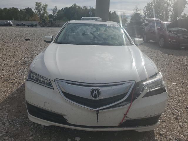 19UUB1F32GA016063 - 2016 ACURA TLX თეთრი ფოტო 5