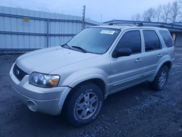 1FMYU04135KB05553 - 2005 FORD ESCAPE LIMITED GRAY photo 1