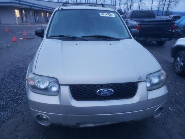 1FMYU04135KB05553 - 2005 FORD ESCAPE LIMITED GRAY photo 5