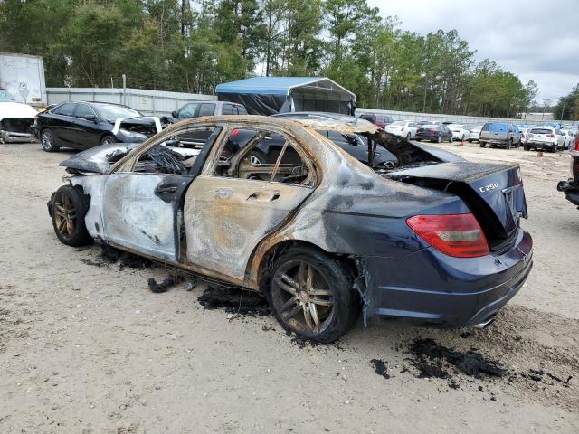 WDDGF4HB7CR223703 - 2012 MERCEDES-BENZ C 250 BURN photo 2