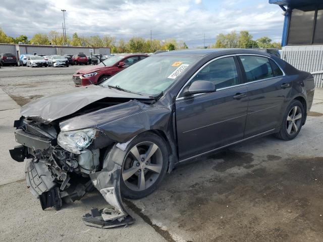 2011 CHEVROLET MALIBU 1LT, 