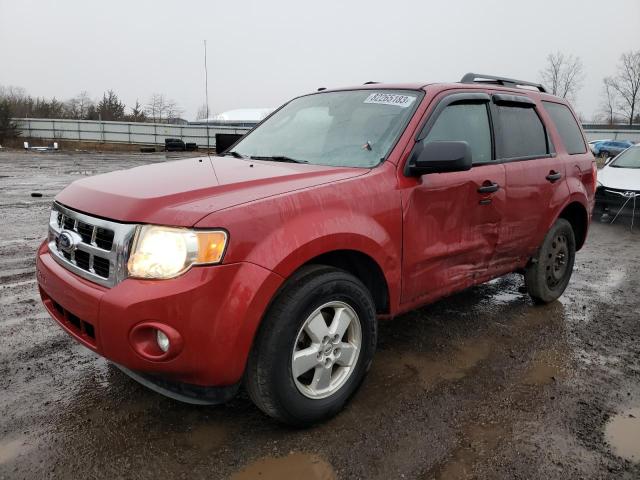 1FMCU0D75AKC16114 - 2010 FORD ESCAPE XLT RED photo 1