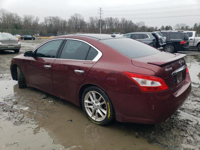 1N4AA5AP8BC840030 - 2011 NISSAN MAXIMA S BURGUNDY photo 2