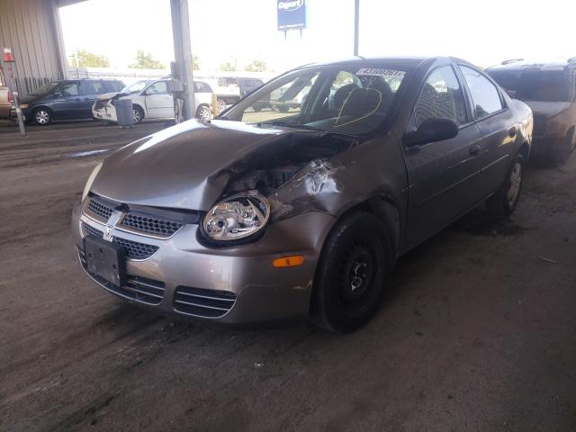 1B3ES26CX5D230384 - 2005 DODGE NEON BASE GRAY photo 2