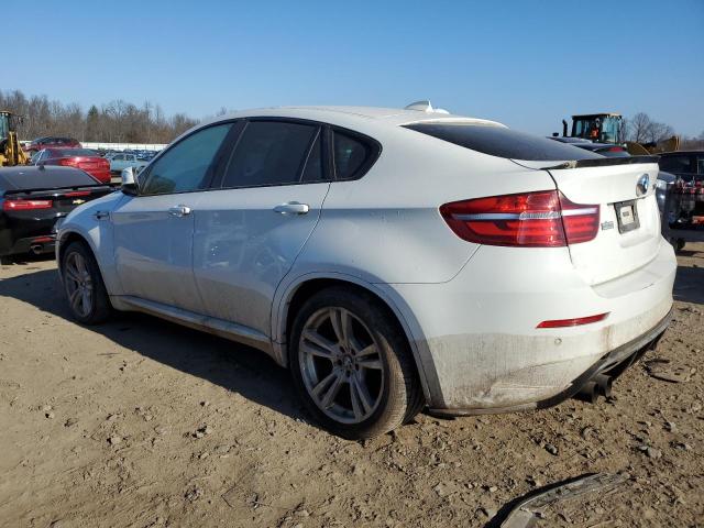 5YMGZ0C55DLL29980 - 2013 BMW X6 M WHITE photo 2