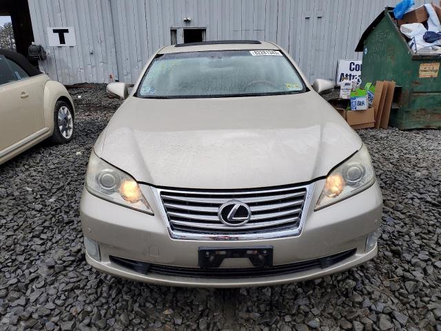 JTHBK1EG3A2392460 - 2010 LEXUS ES 350 BEIGE photo 5