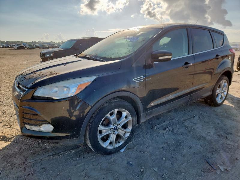 2013 FORD ESCAPE SEL, 