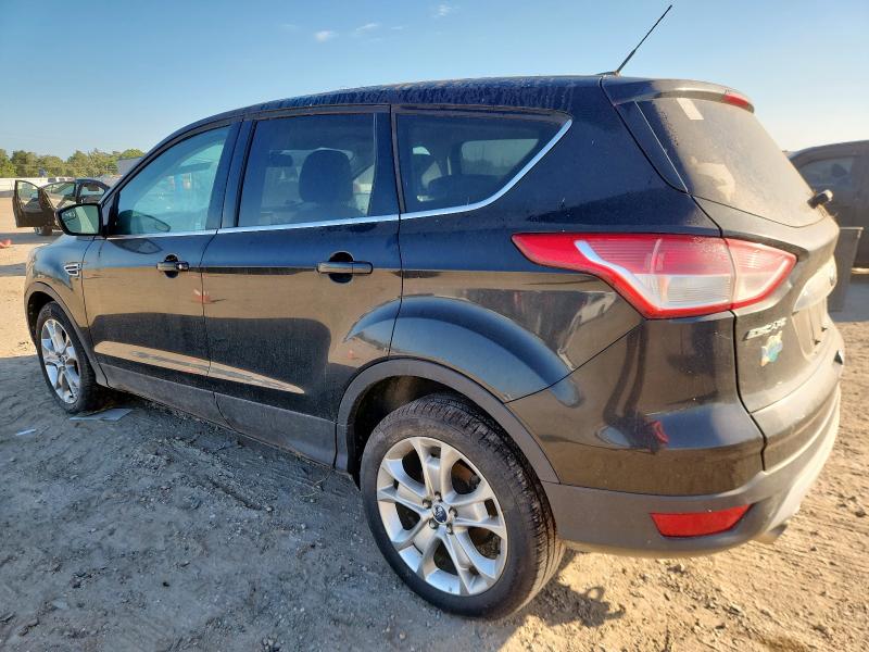 1FMCU0HX0DUC56698 - 2013 FORD ESCAPE SEL 黑色 照片 2