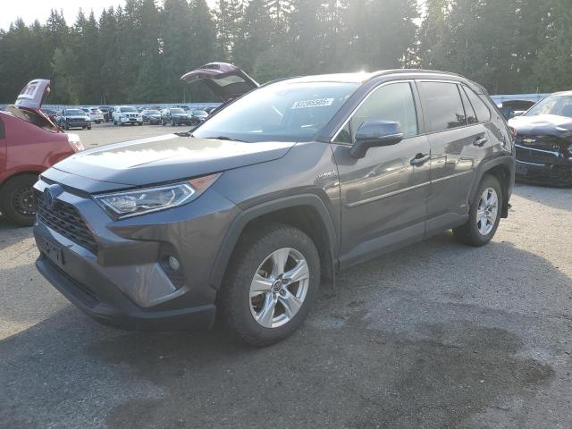2019 TOYOTA RAV4 XLE, 