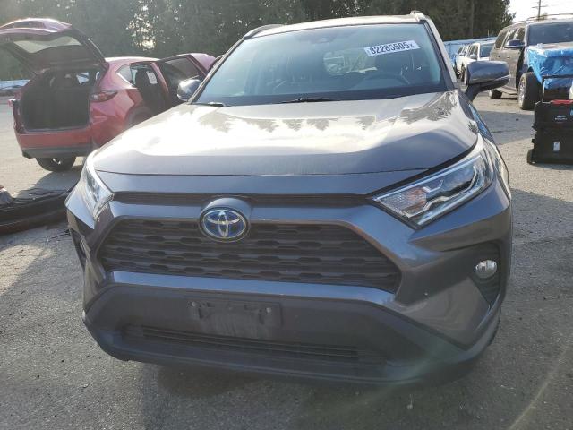2T3RWRFV7KW024520 - 2019 TOYOTA RAV4 XLE Gris foto 5