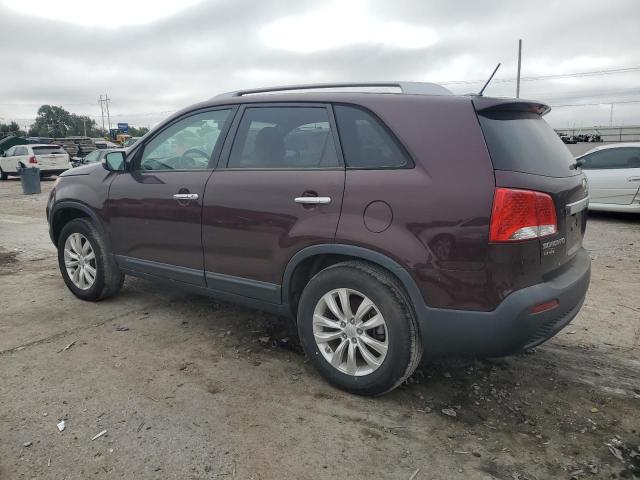 5XYKU3A17BG029904 - 2011 KIA SORENTO EX Bordo foto 2