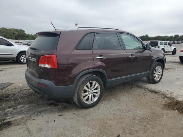 5XYKU3A17BG029904 - 2011 KIA SORENTO EX Bordo foto 3