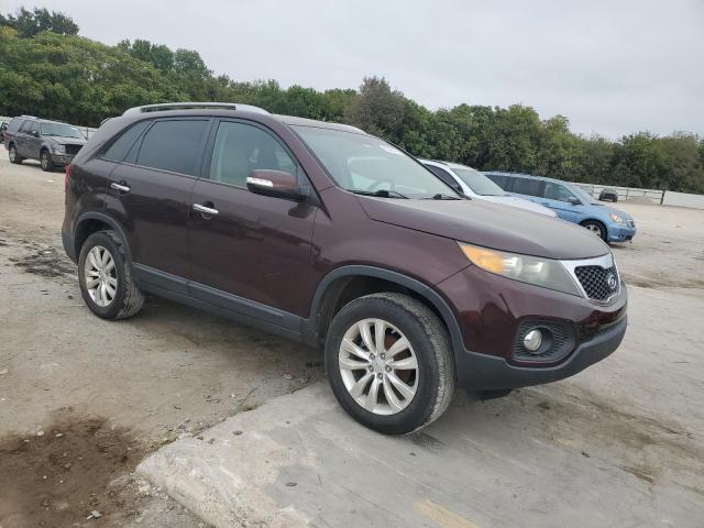5XYKU3A17BG029904 - 2011 KIA SORENTO EX Bordo foto 4