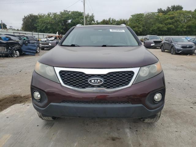 5XYKU3A17BG029904 - 2011 KIA SORENTO EX Bordo foto 5