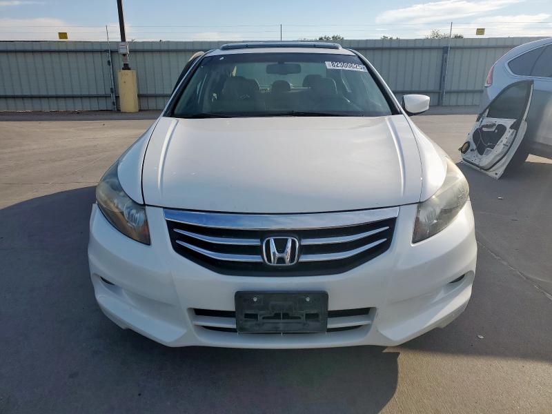 1HGCP3F81BA026404 - 2011 HONDA ACCORD EXL 白色 照片 5