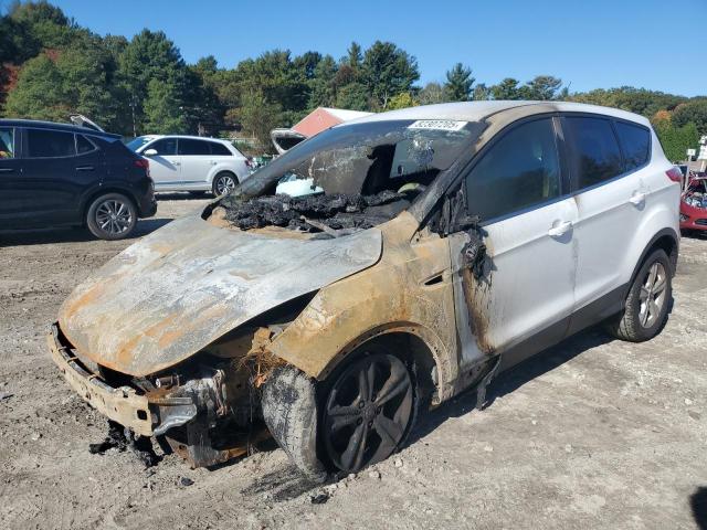 2013 FORD ESCAPE SE, 