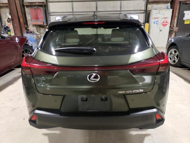 JTHP9JBH1P2066177 - 2023 LEXUS UX 250H PREMIUM GREEN photo 6