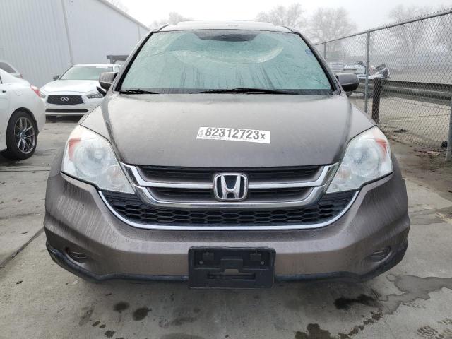 5J6RE4H76AL020183 - 2010 HONDA CR-V EXL GRAY photo 5