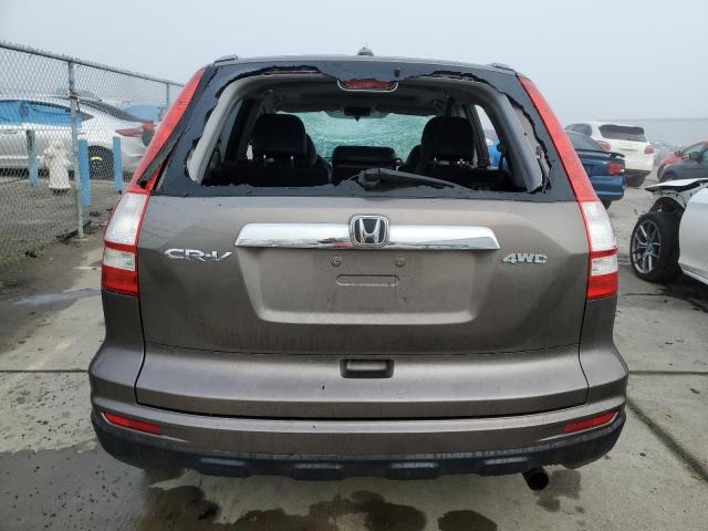 5J6RE4H76AL020183 - 2010 HONDA CR-V EXL GRAY photo 6