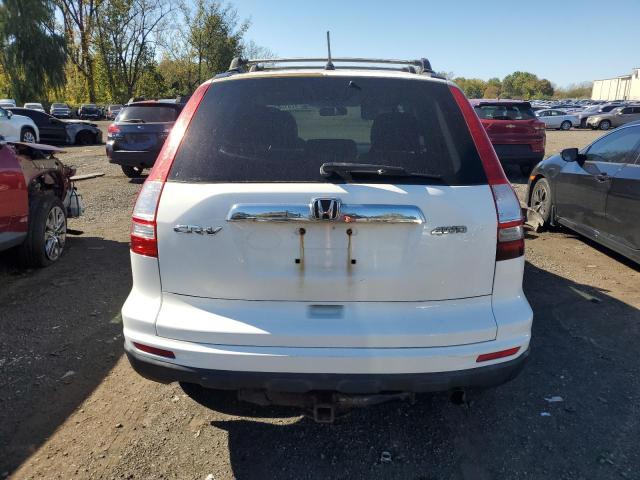 3CZRE4H53AG701607 - 2010 HONDA CR-V EX Ақ фото 6