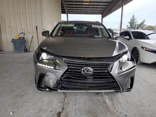 JTJAARBZ5L2177702 - 2020 LEXUS NX 300 BASE 米色 照片 5