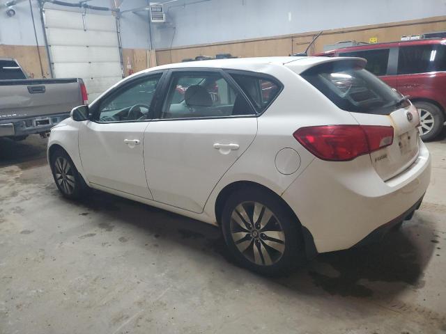 KNAFU5A23D5656968 - 2013 KIA FORTE EX WHITE photo 2