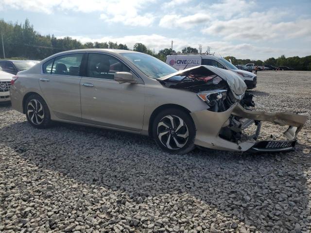 1HGCR3F87HA029603 - 2017 HONDA ACCORD EXL 金色 照片 4