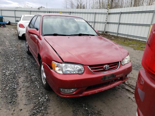 1NXBR12E11Z528603 - 2001 TOYOTA COROLLA CE BURGUNDY photo 5