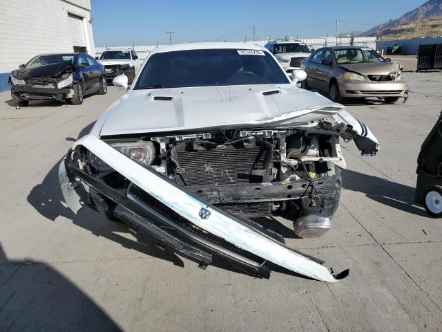 2B3CJ5DT4AH264865 - 2010 DODGE CHALLENGER R/T თეთრი ფოტო 5