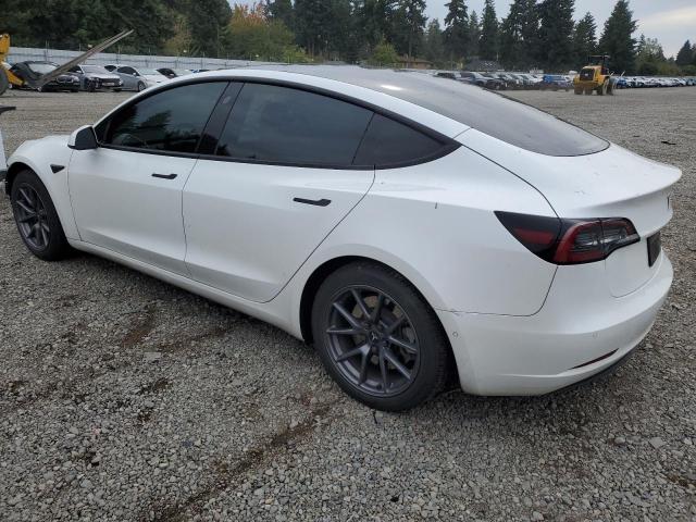 5YJ3E1EA6MF001912 - 2021 TESLA MODEL 3 Ağ foto 2