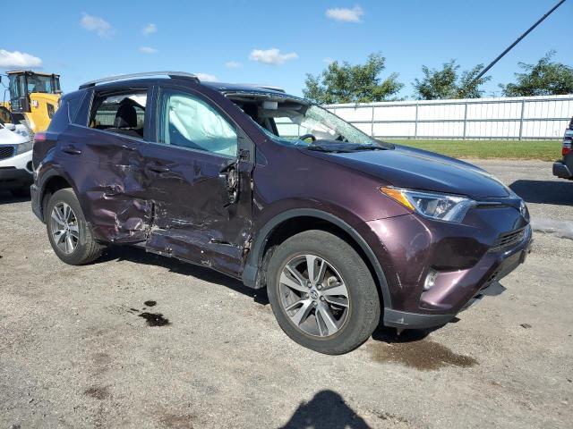 2T3RFREV0GW537522 - 2016 TOYOTA RAV4 XLE PURPLE photo 4