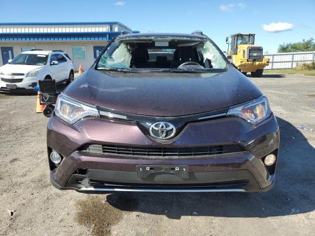 2T3RFREV0GW537522 - 2016 TOYOTA RAV4 XLE PURPLE photo 5