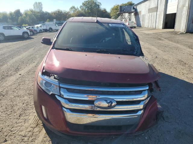 2FMDK3JC7DBB36342 - 2013 FORD EDGE SEL Bordeaux photo 5