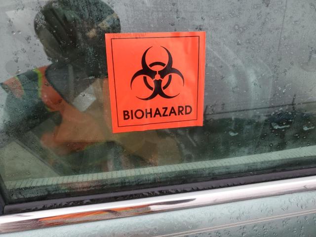 1N4AL11D04C185809 - 2004 NISSAN ALTIMA BASE Yaşıl foto 10