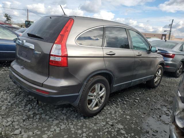 5J6RE4H70AL057598 - 2010 HONDA CR-V EXL CHARCOAL photo 3