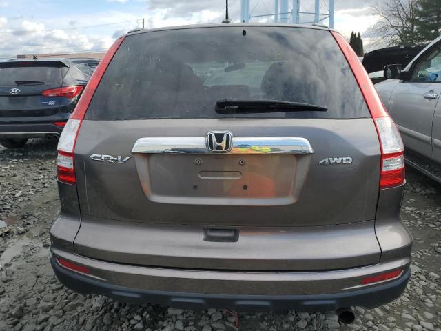 5J6RE4H70AL057598 - 2010 HONDA CR-V EXL CHARCOAL photo 6