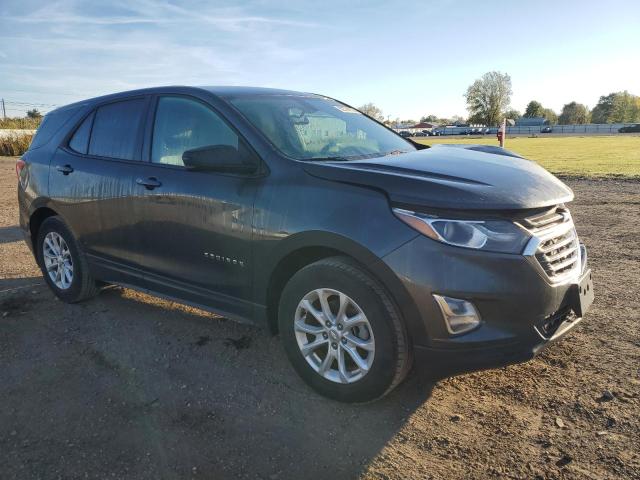3GNAXHEV7KS636551 - 2019 CHEVROLET EQUINOX LS Boz foto 4
